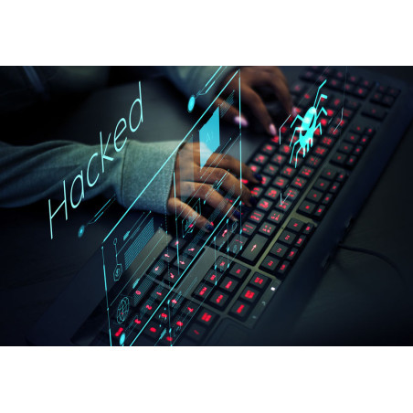 Server / VPS outsourcing intervention ticket